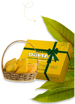 Infinity Agro about us