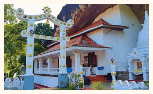 Infinity Agro experience