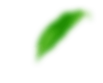 Infinity Agro orders