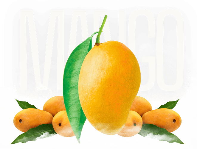 Infinity Agro Products