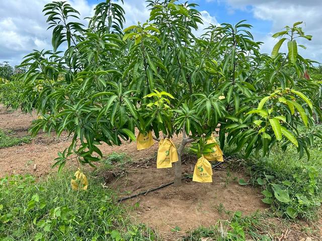 Infinity Agro Gallery 1