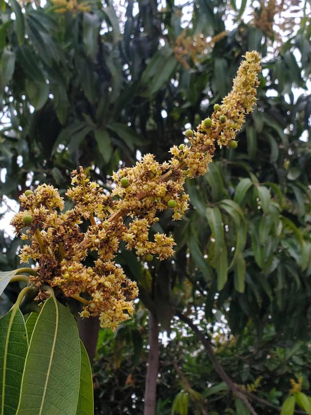 Infinity Agro Gallery 9